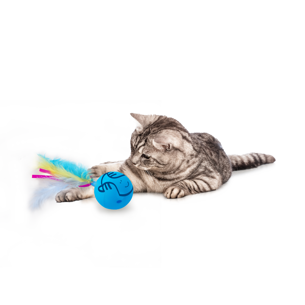 AFP Modern Cat Dizzy Spinner - Afbeelding 5