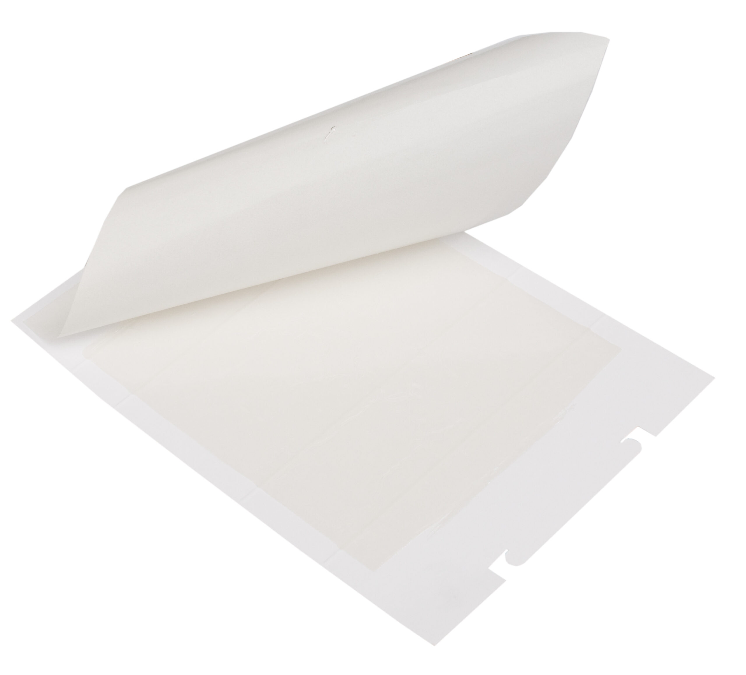 Zapi Zap Trap lijmval voor muizen en insecten 15x21cm - Afbeelding 2