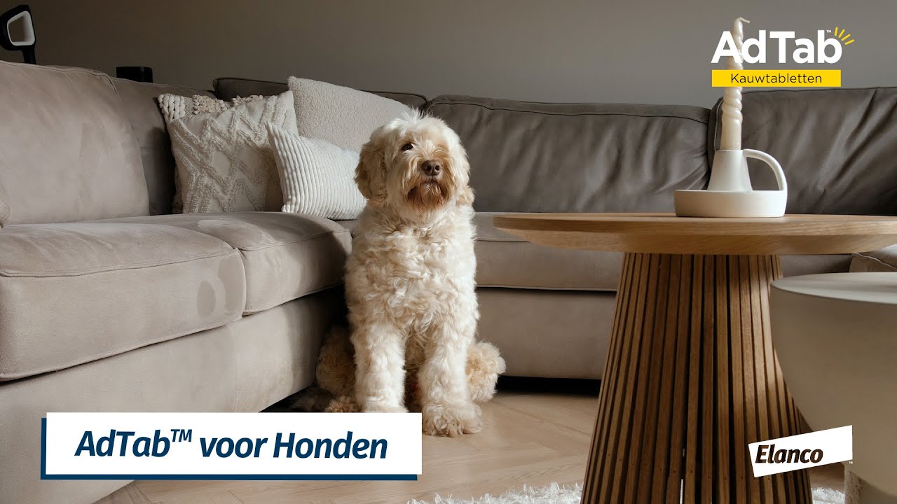 Elanco AdTab kauwtabletten hond (>5,5 - 11 kg) - Afbeelding 2