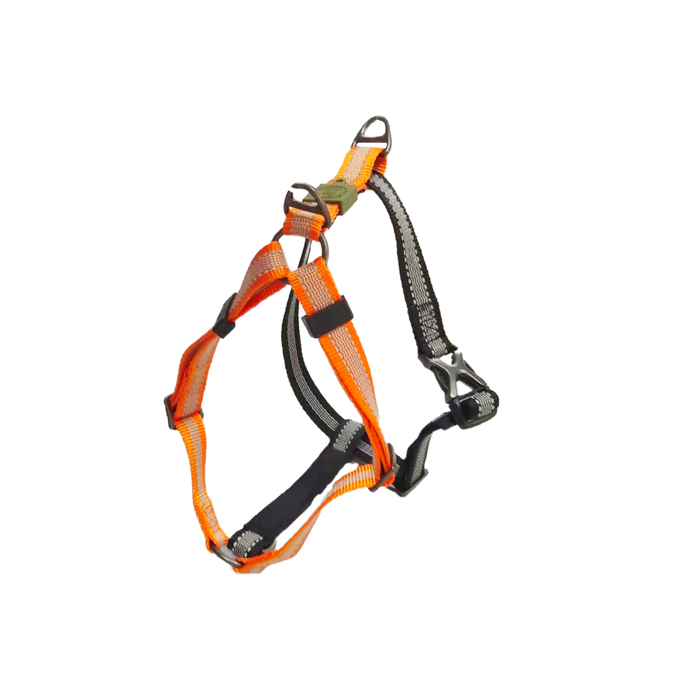 AFP Off Street - Dog Non-Pull Harness Mandarijn L - Afbeelding 2