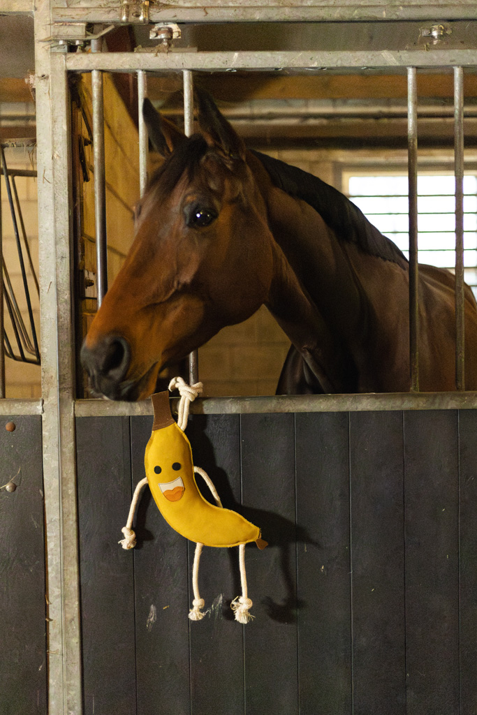 Excellent Horse Foodie Friends Banana - Afbeelding 3