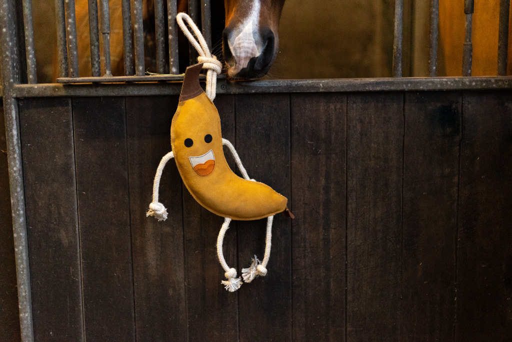 Excellent Horse Foodie Friends Banana - Afbeelding 4