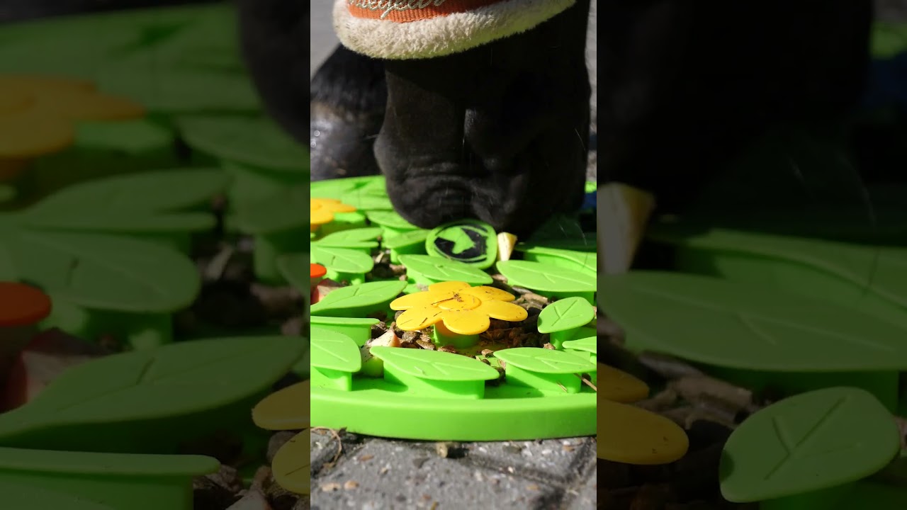 Excellent Horse Snuffle Mat Flower Power - Afbeelding 6