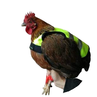 Gaun Pluimvee Kippen Vest - Afbeelding 2