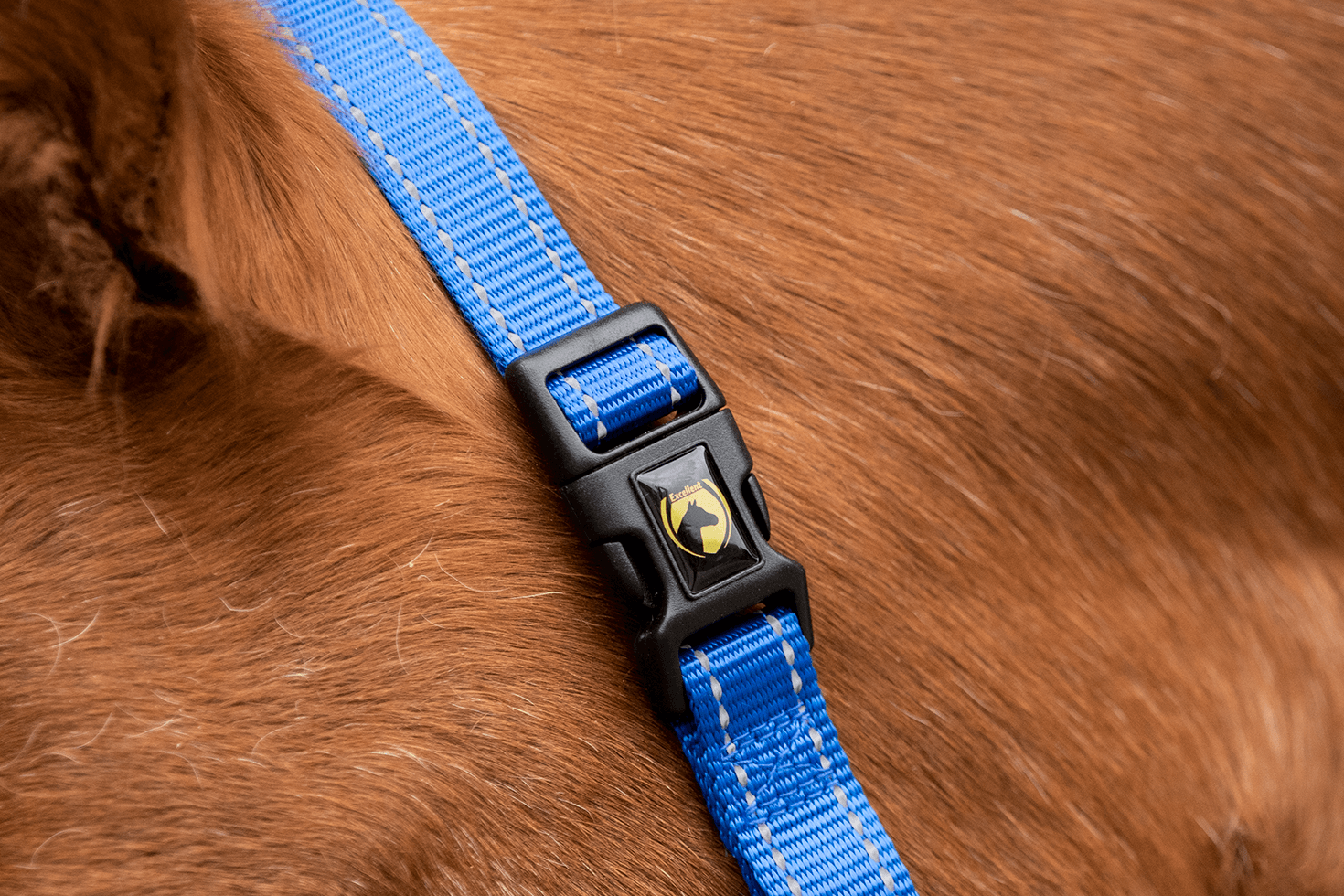 Excellent Premium Halster Blauw XS - Afbeelding 4