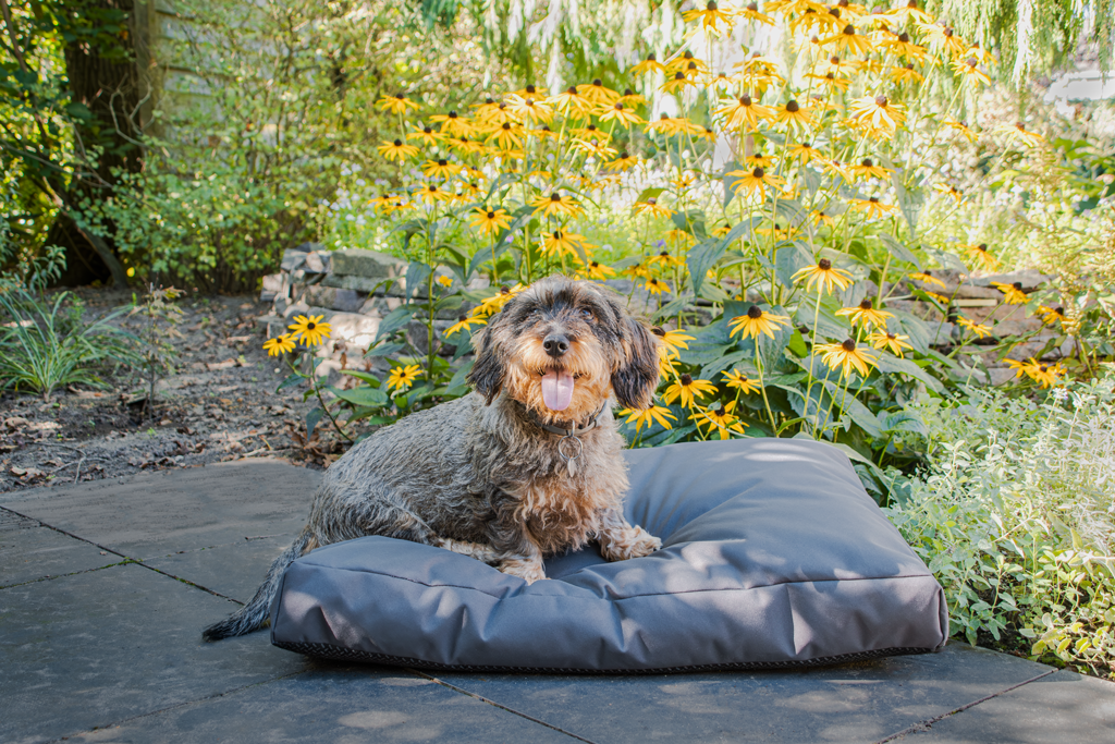 Let's Sleep Cushy Cloud Hondenkussen Buiten XL Antraciet - Afbeelding 3