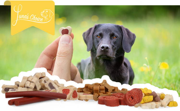 Luna's Choice Trainer Mix Deer Drop (glutenvrij) - Afbeelding 3
