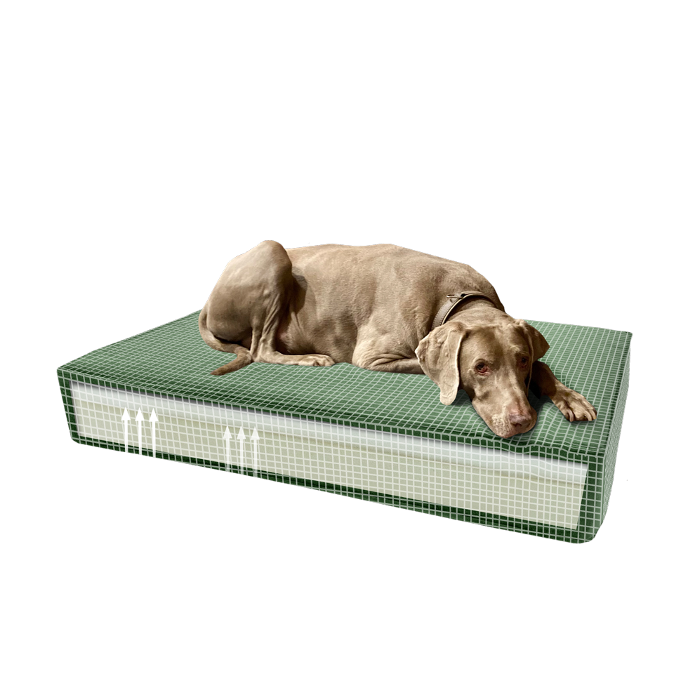 Madison Orthopedisch Kussen Velvet Groen S - Afbeelding 4