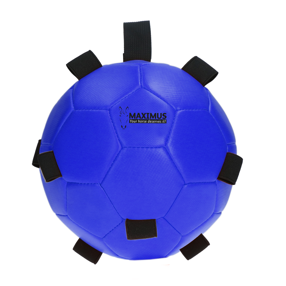 Excellent Horse Fun Play Ball Blauw - Afbeelding 2