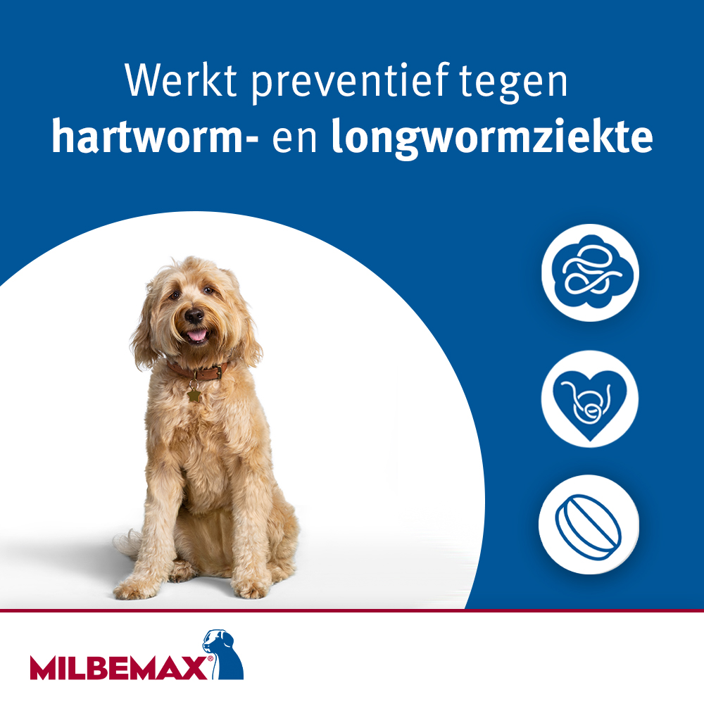 Milbemax Tabletten Hond Groot 5-75kg 2 tabl. - Afbeelding 5