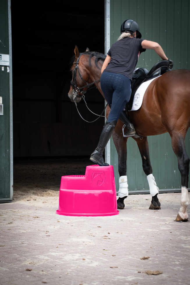 Excellent Horse Opstaphulp 3 Treden Roze - Afbeelding 3