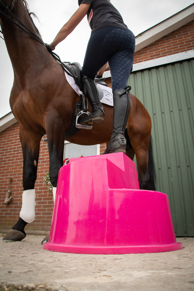 Excellent Horse Opstaphulp 3 Treden Roze - Afbeelding 5