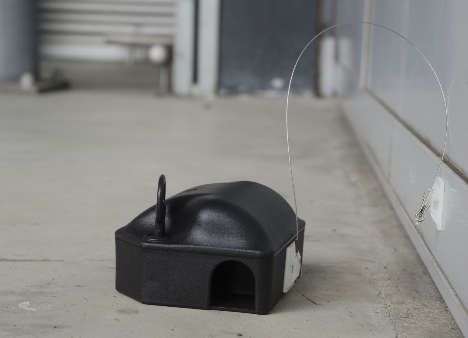 Voerdoos Plak-anker 25 cm - Afbeelding 2