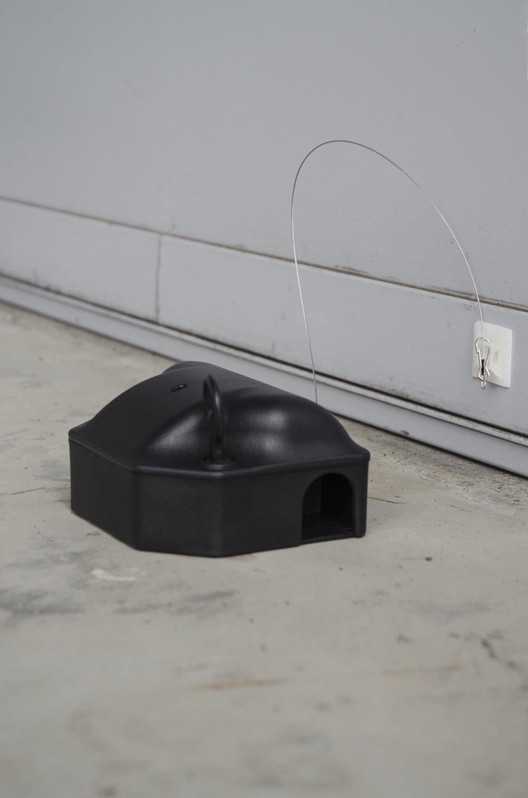 Voerdoos Plak-anker 25 cm - Afbeelding 4