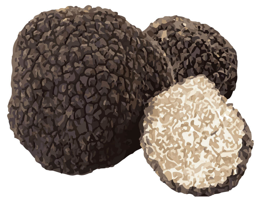 SwissCowers Cheese Bars Truffle L - Afbeelding 4