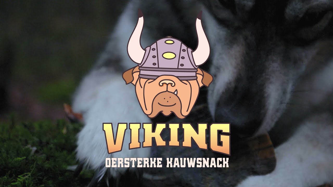 Viking Horn Whole S - Afbeelding 2
