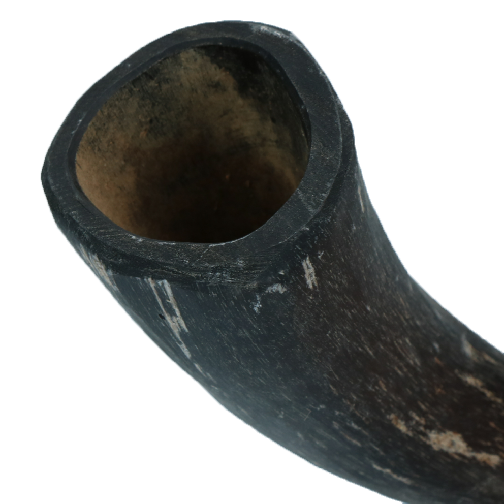 Viking Horn Whole S - Afbeelding 3