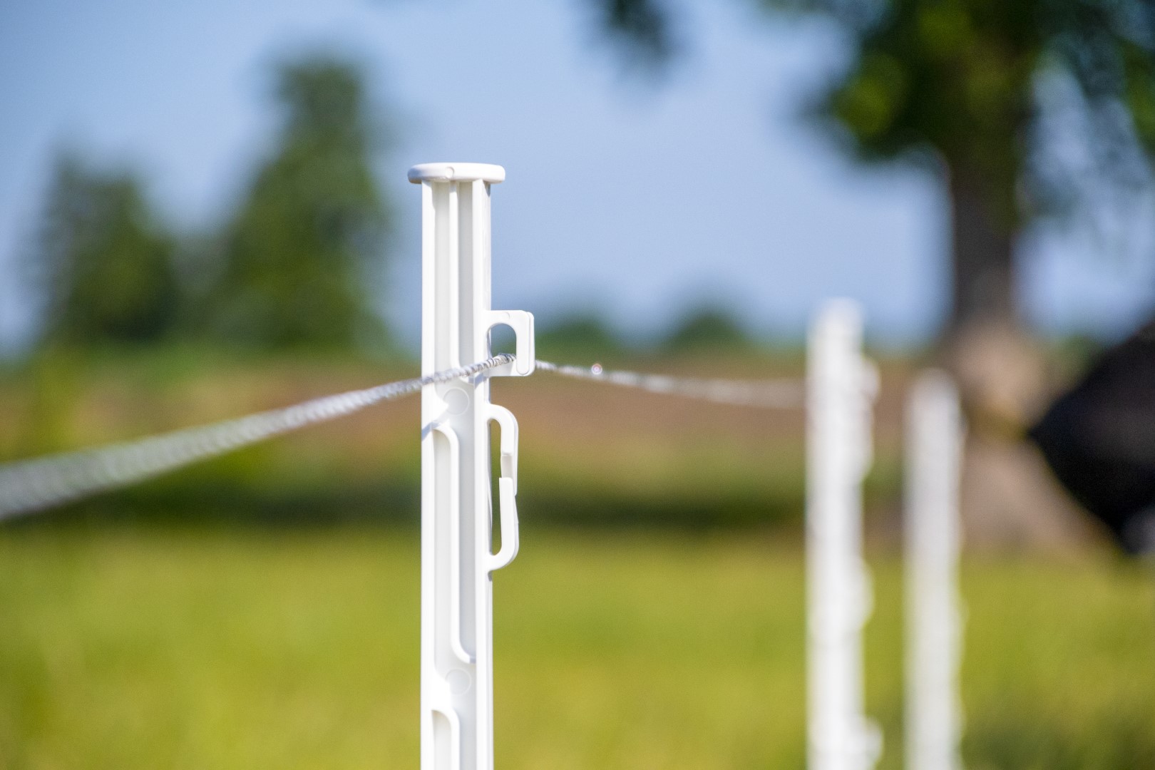ZoneGuard Plus Afrasteringsdraad 3 mm 400 m - Afbeelding 3