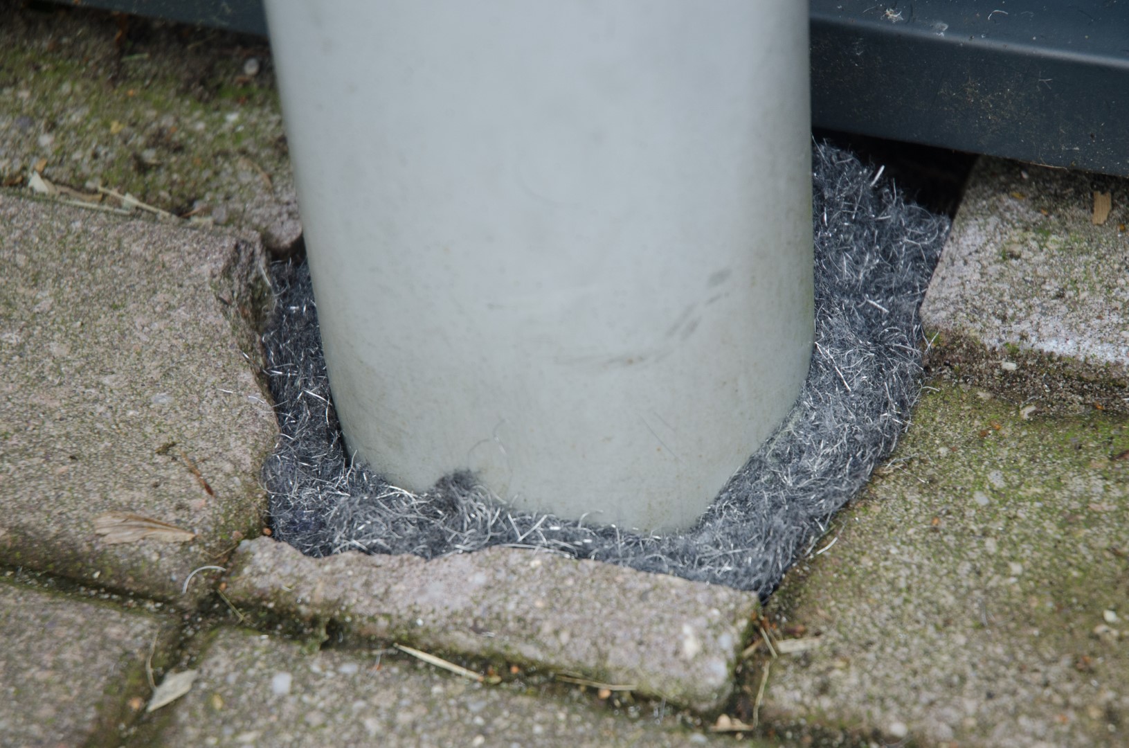 Knock Pest Weringsband Rat/Muis 5 m - Afbeelding 2