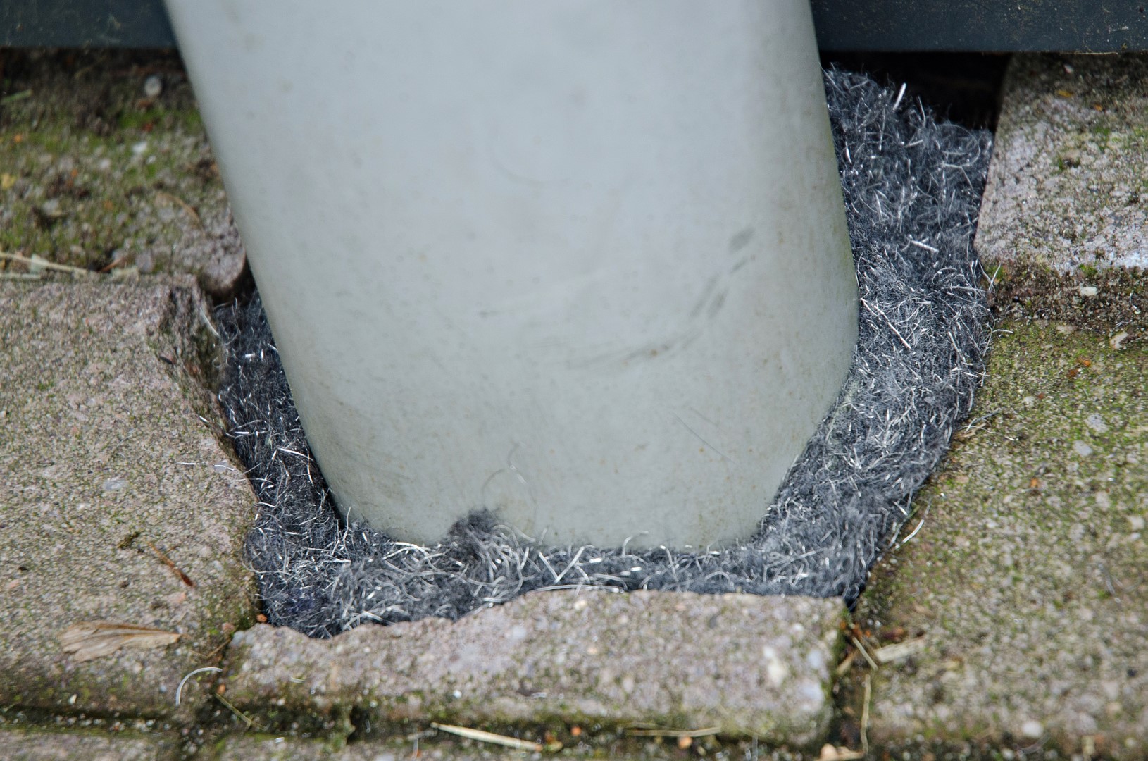 Knock Pest Weringsband Rat/Muis 5 m - Afbeelding 3