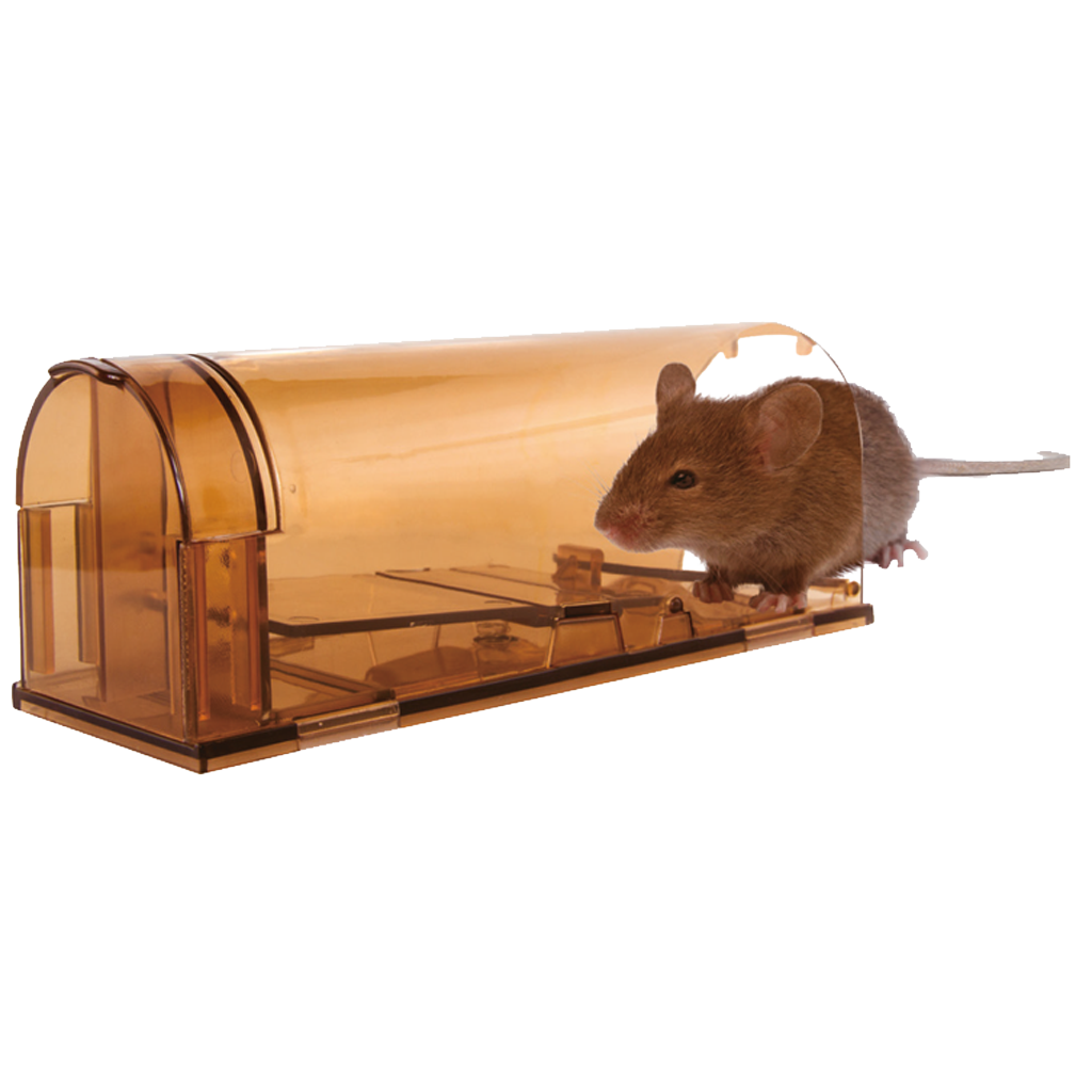 Knock Pest Muizenval Levend - Afbeelding 3