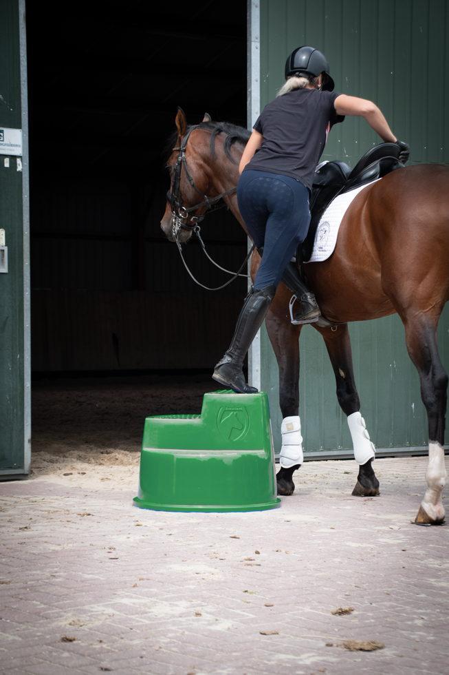 Excellent Horse Opstaphulp 3 Treden Groen - Afbeelding 3