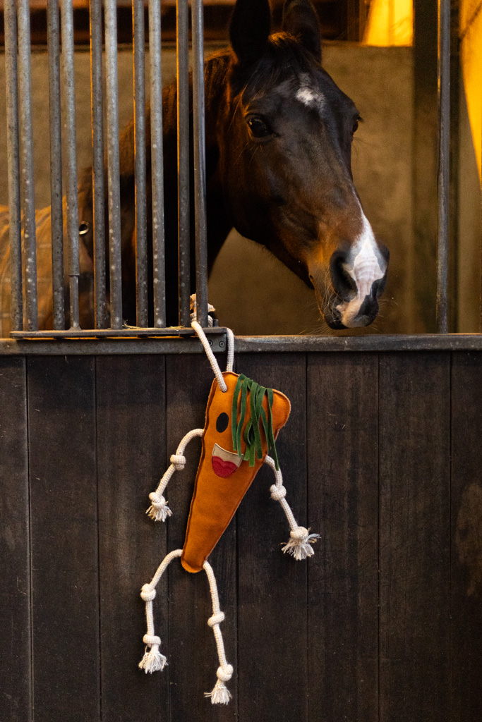 Excellent Horse Foodie Friends Carrot - Afbeelding 3
