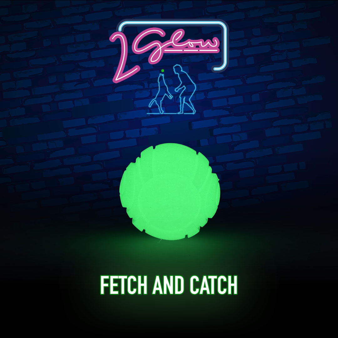 2 Glow Fetch & Play - Afbeelding 2