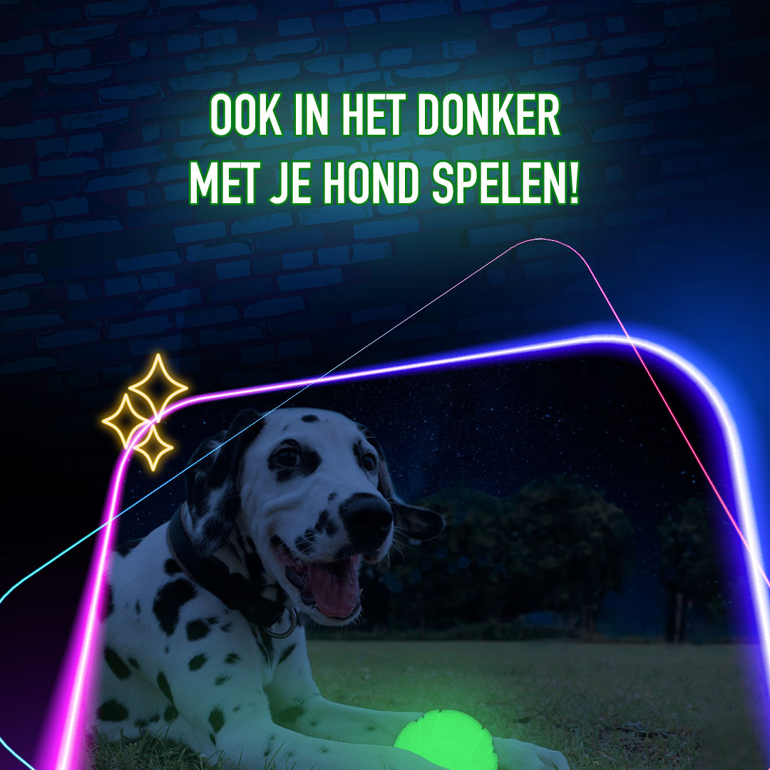 2 Glow Fetch & Play - Afbeelding 4
