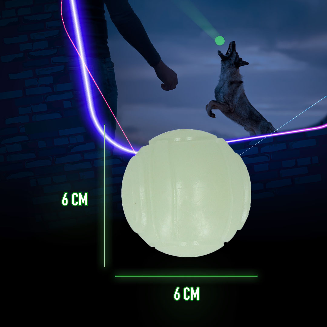 2 Glow Fetch & Play - Afbeelding 6