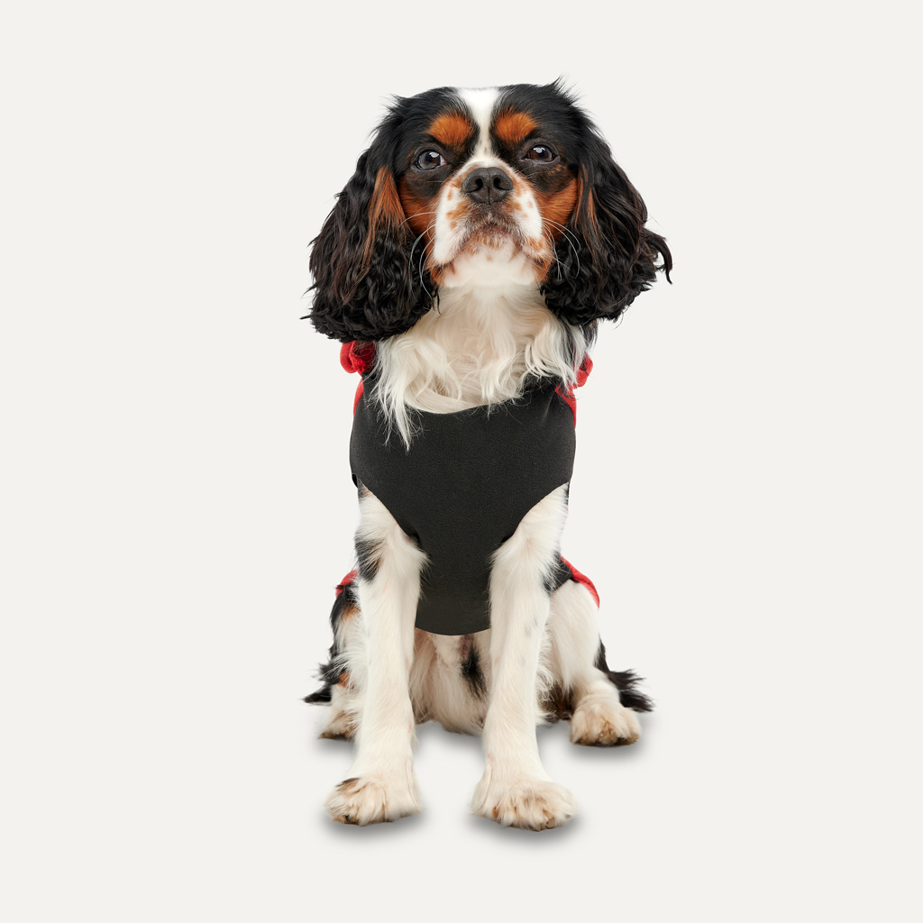 Goo-eez Kangaroo Fleece Hoodie XL Rood/Zwart - Afbeelding 2