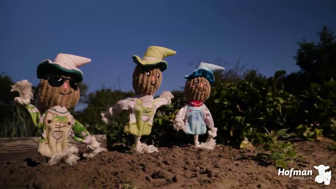 Garden Paws Scarecrow Calvin Crow M - Afbeelding 6