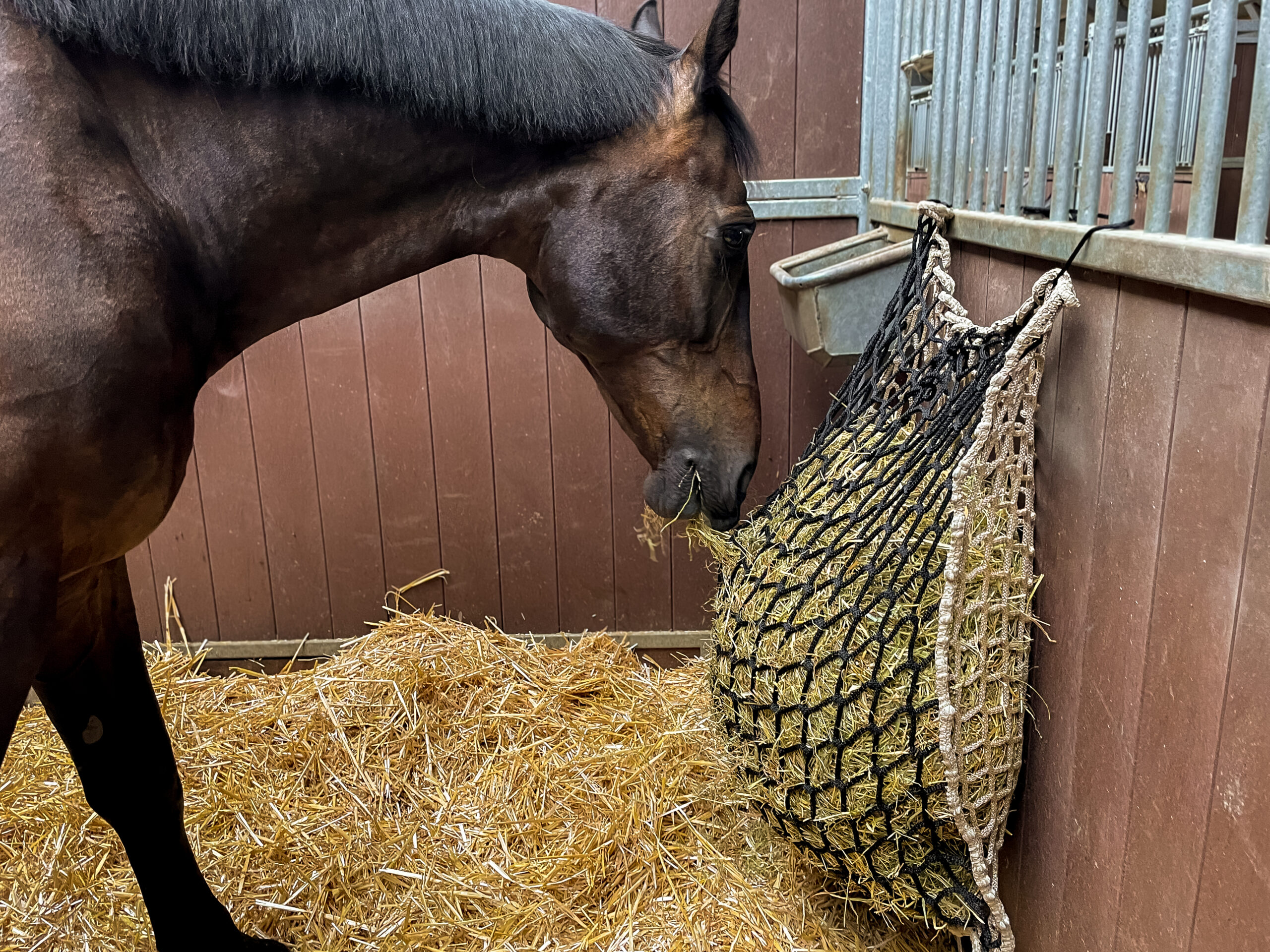 Hay Slow Feeder Net 10 kg (60/45 mm) - Afbeelding 3