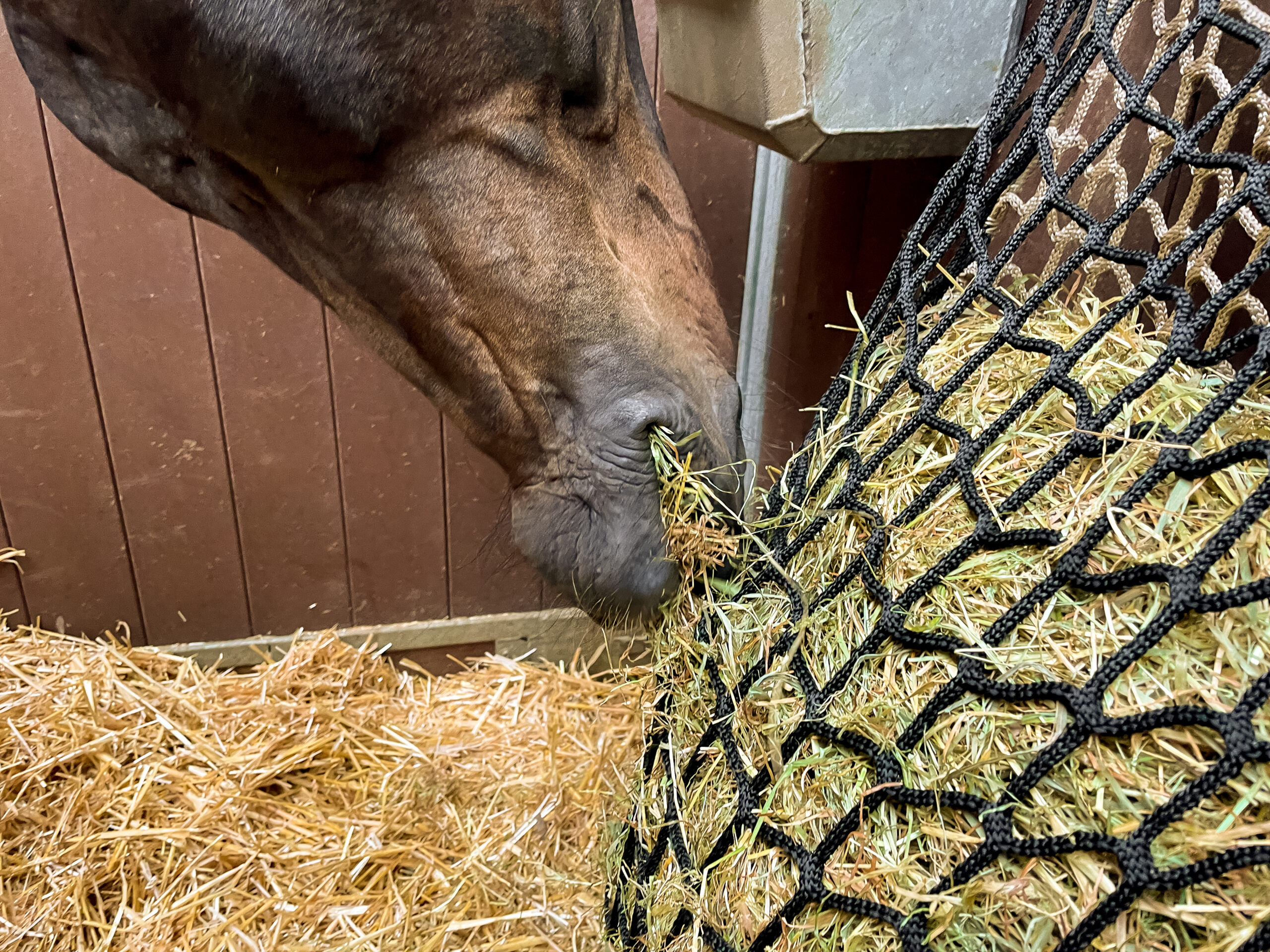 Hay Slow Feeder Net 10 kg (60/45 mm) - Afbeelding 4
