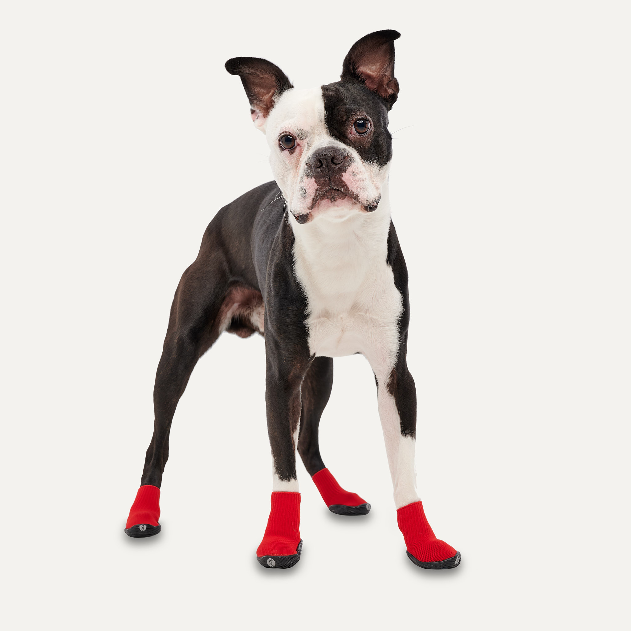 Goo-eez Dog Boots Ultras 2 Per Pack XS Rood/Zwart - Afbeelding 3
