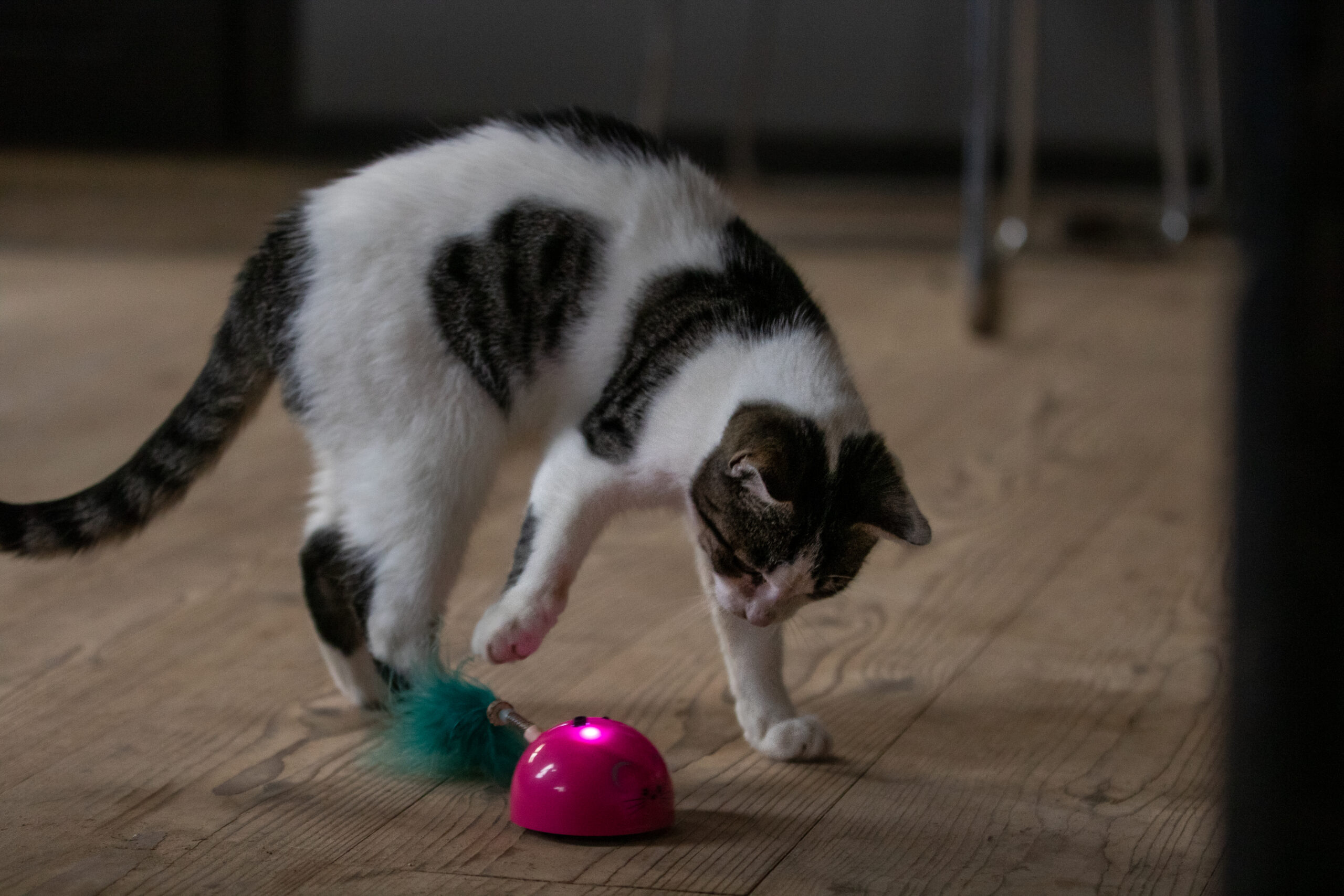 Robocat Muis Roze - Afbeelding 5
