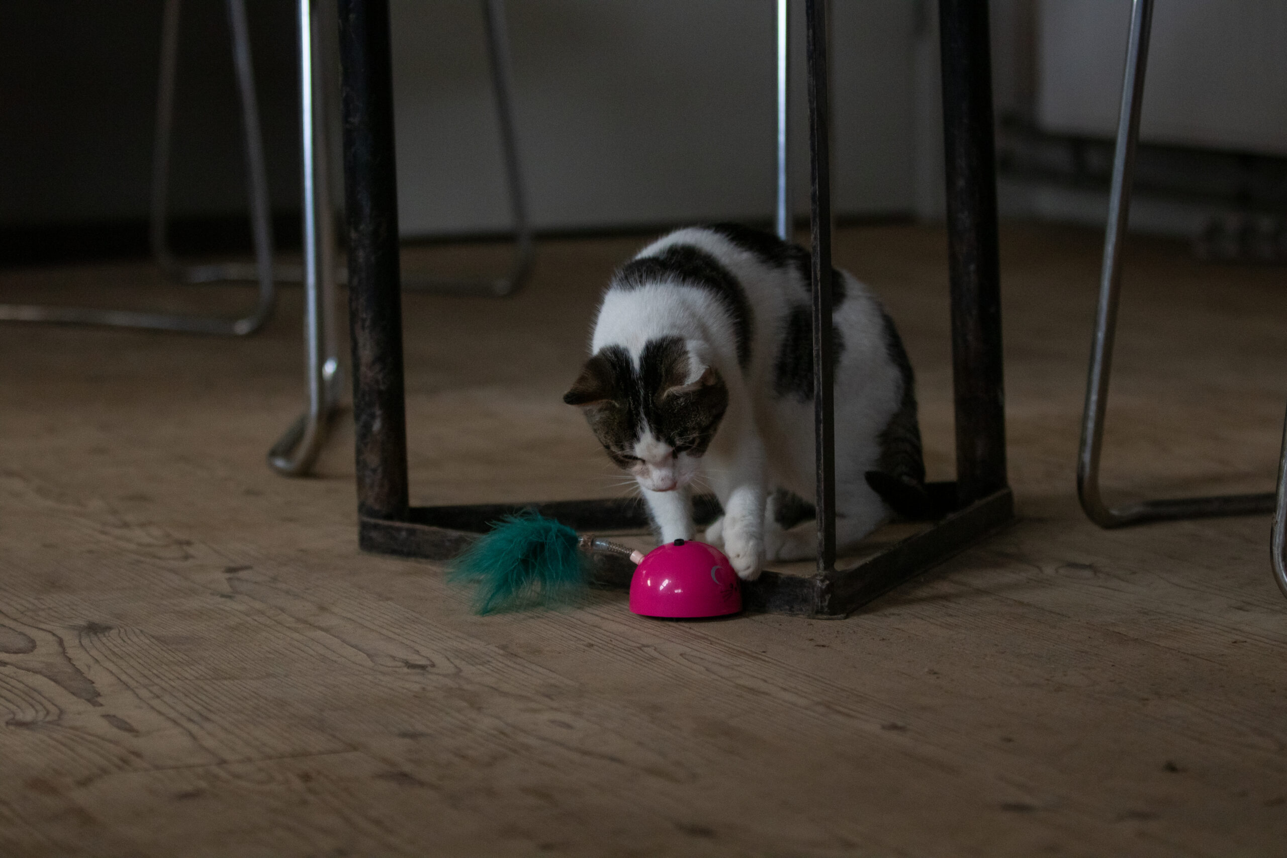 Robocat Muis Roze - Afbeelding 6