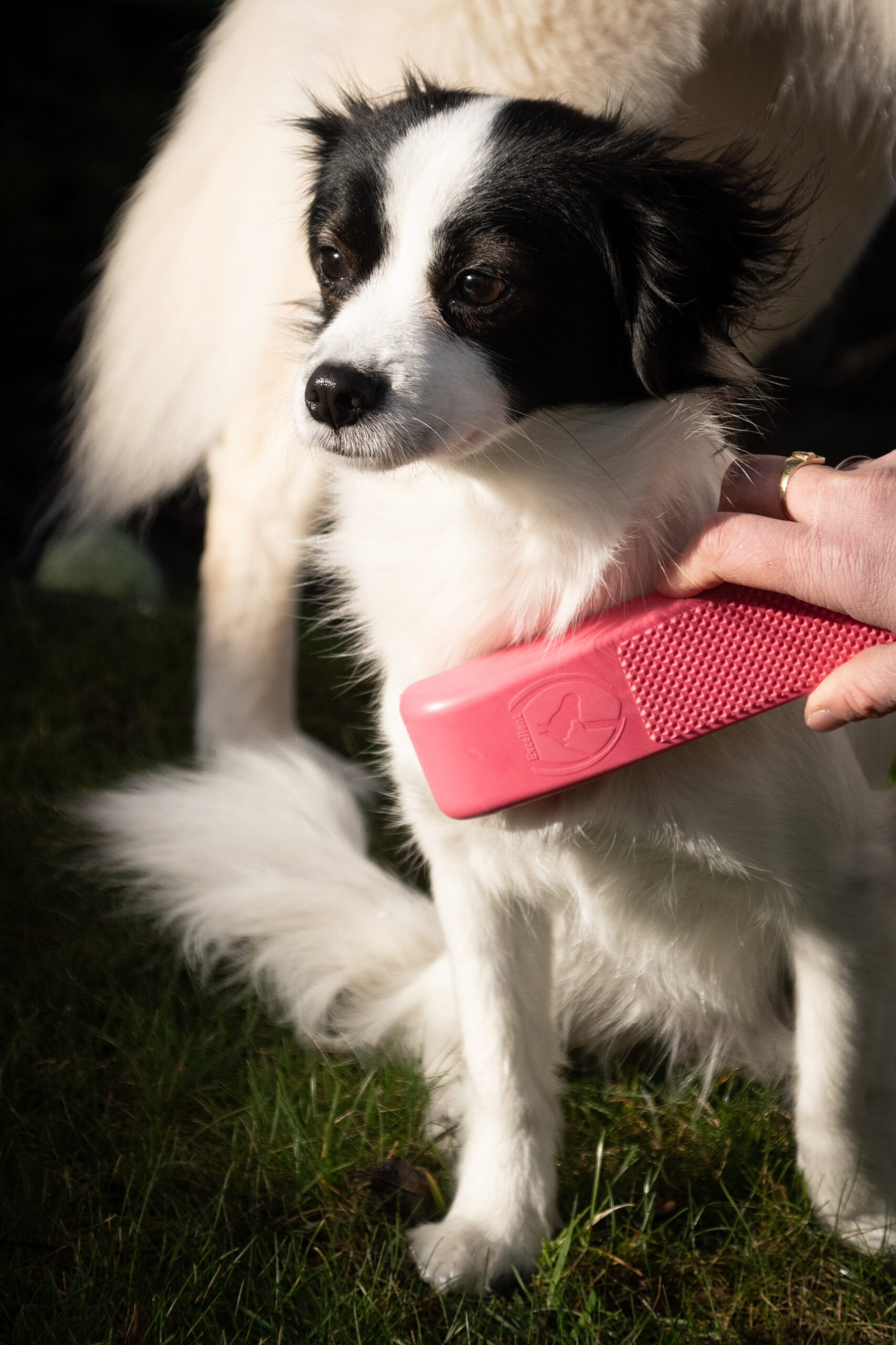 Excellent Pets Grooming Brush Medium Roze - Afbeelding 2