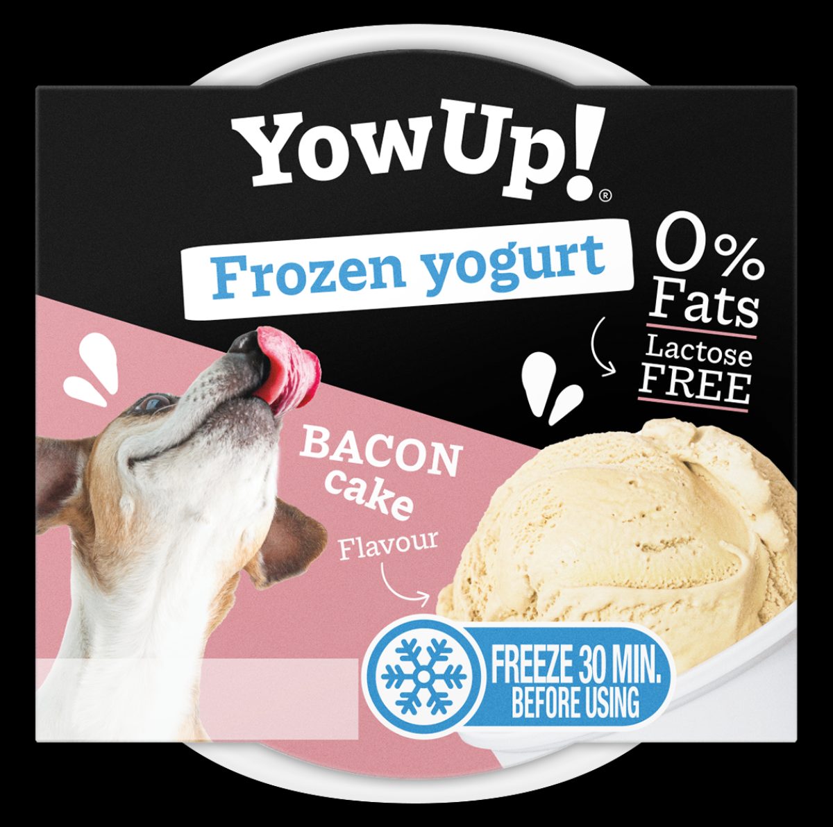 YowUp! Frozen Yoghurt Bacon Cake