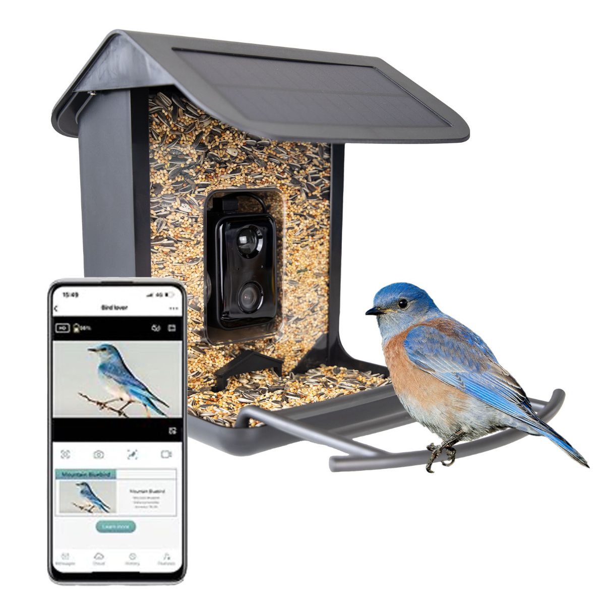 AI Bird Feeder met Camera