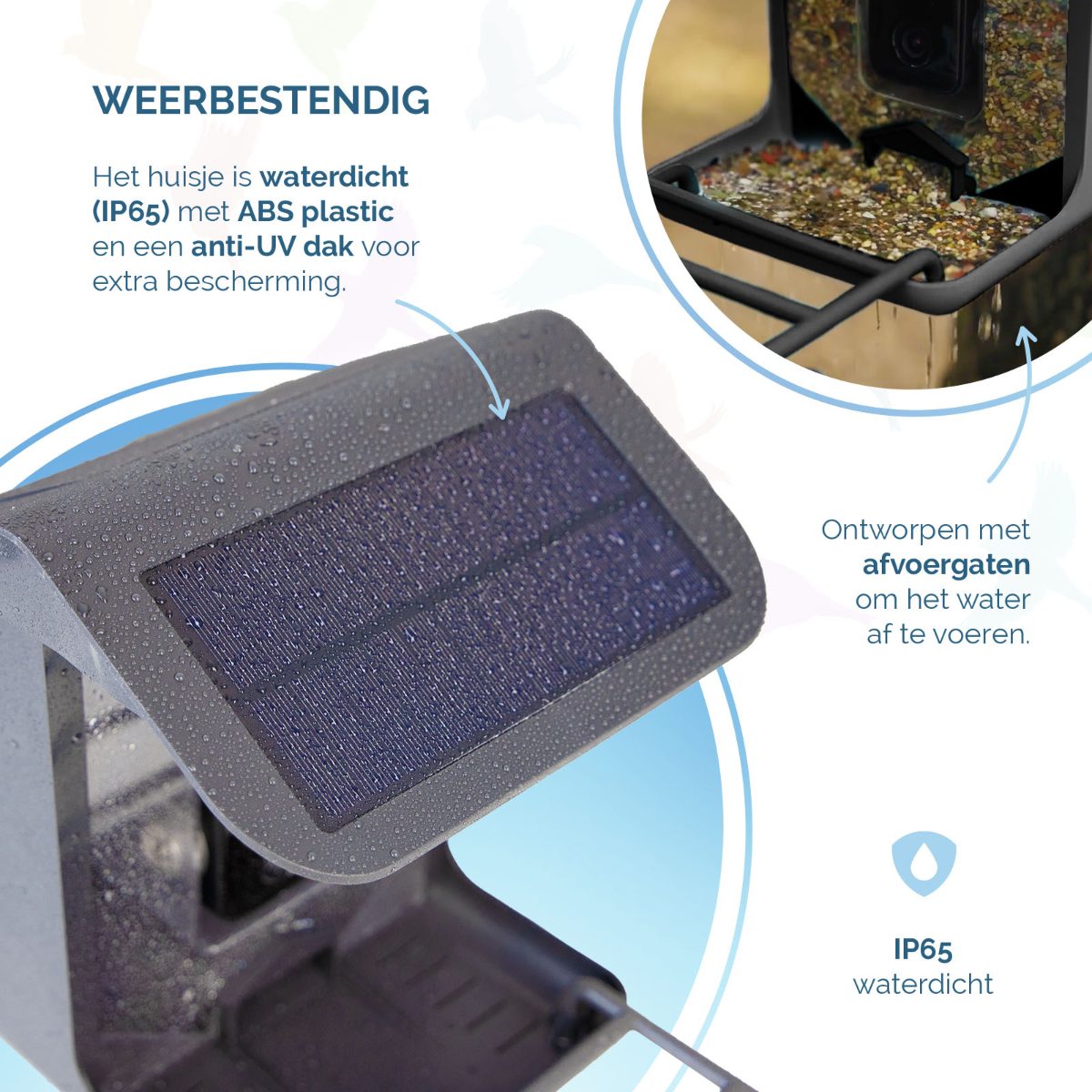 AI Bird Feeder met Camera - Afbeelding 5