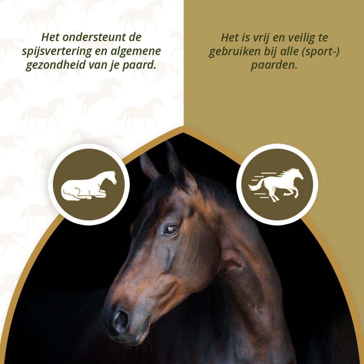 Excellent Horse PureFree 1 kg - Afbeelding 3