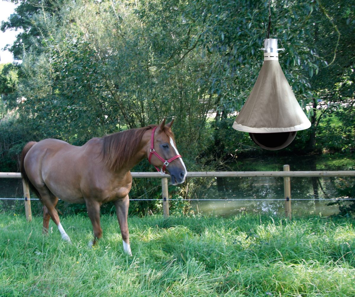 TaonX Dazenval Eco - Afbeelding 2