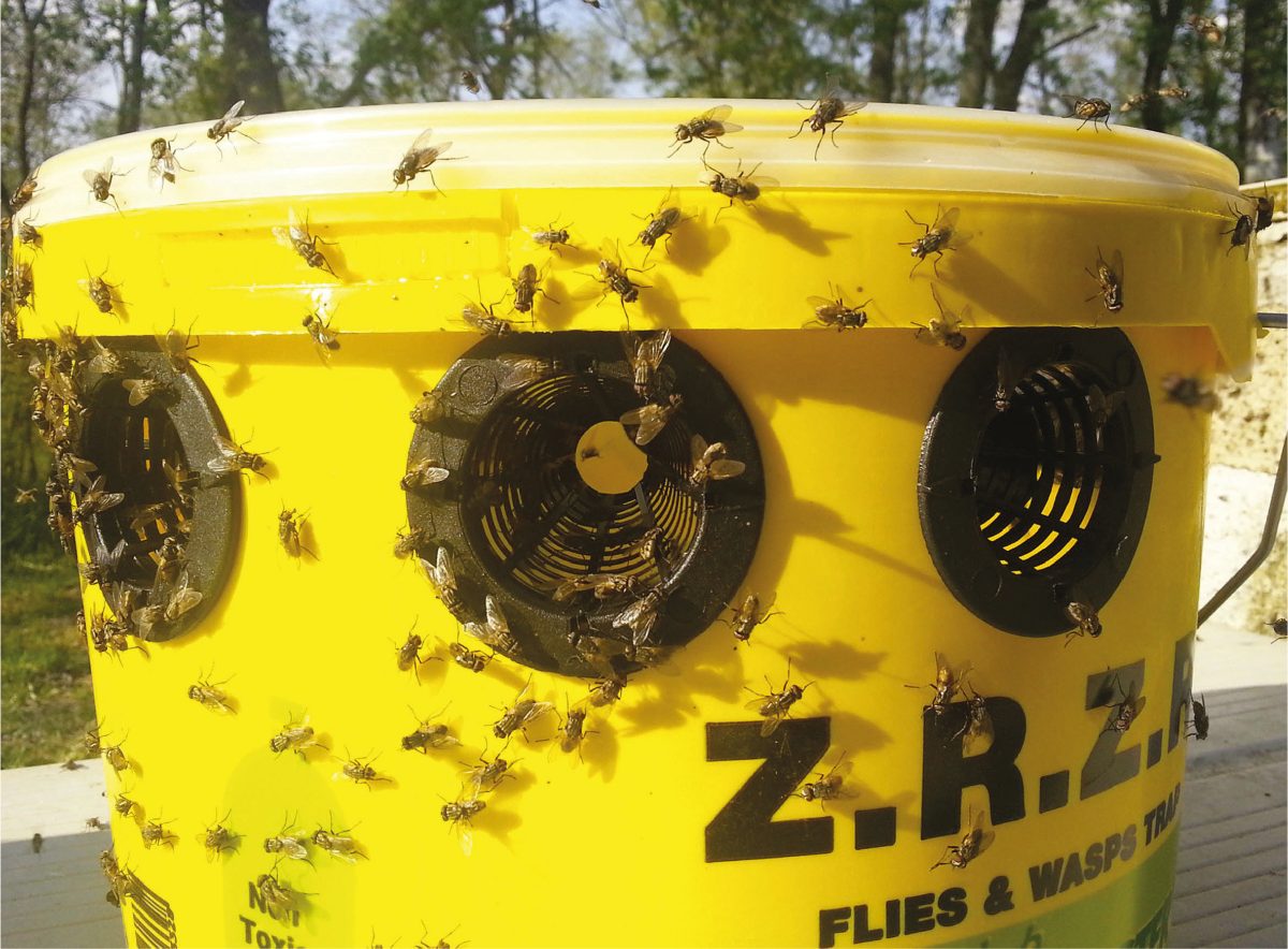 Flybuster Trap - Afbeelding 3