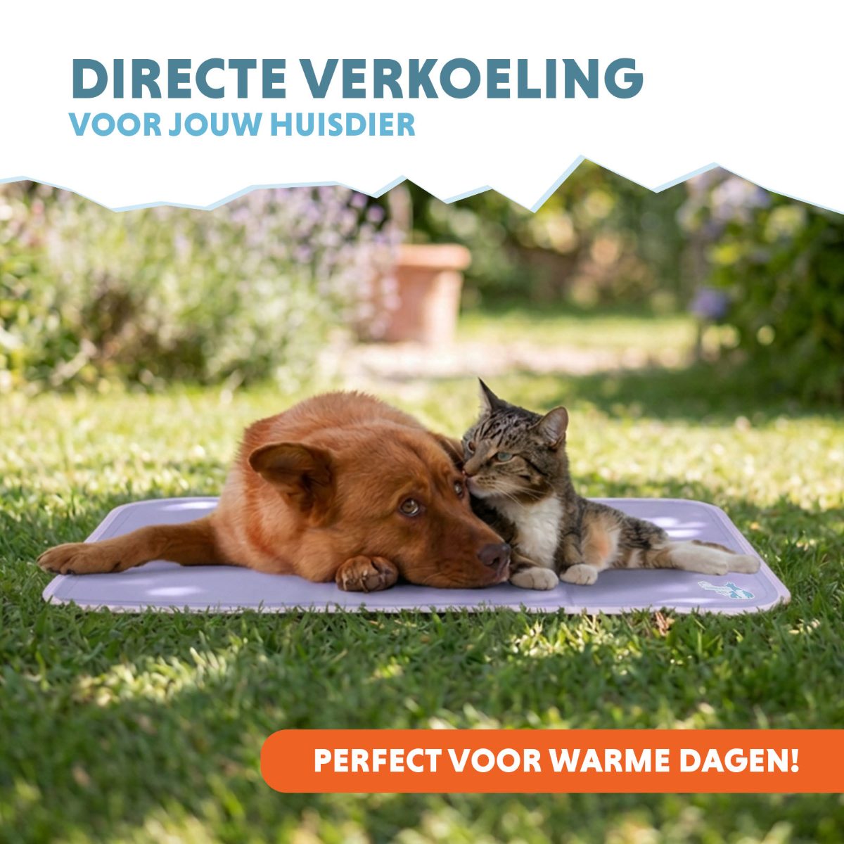 Coolpets Gel Cooling Mat Lila M - Afbeelding 2