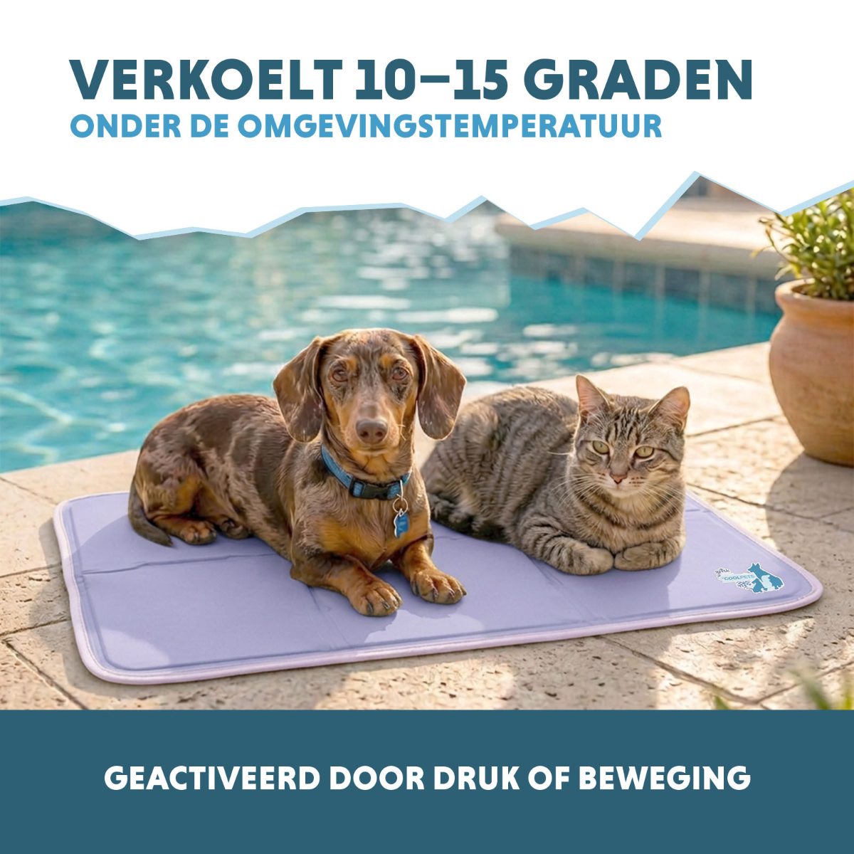 Coolpets Gel Cooling Mat Lila M - Afbeelding 4