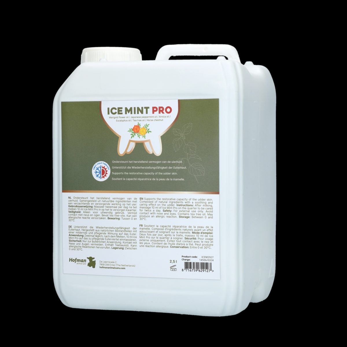 Ice Mint Pro Gel 2,5 l incl. dosator