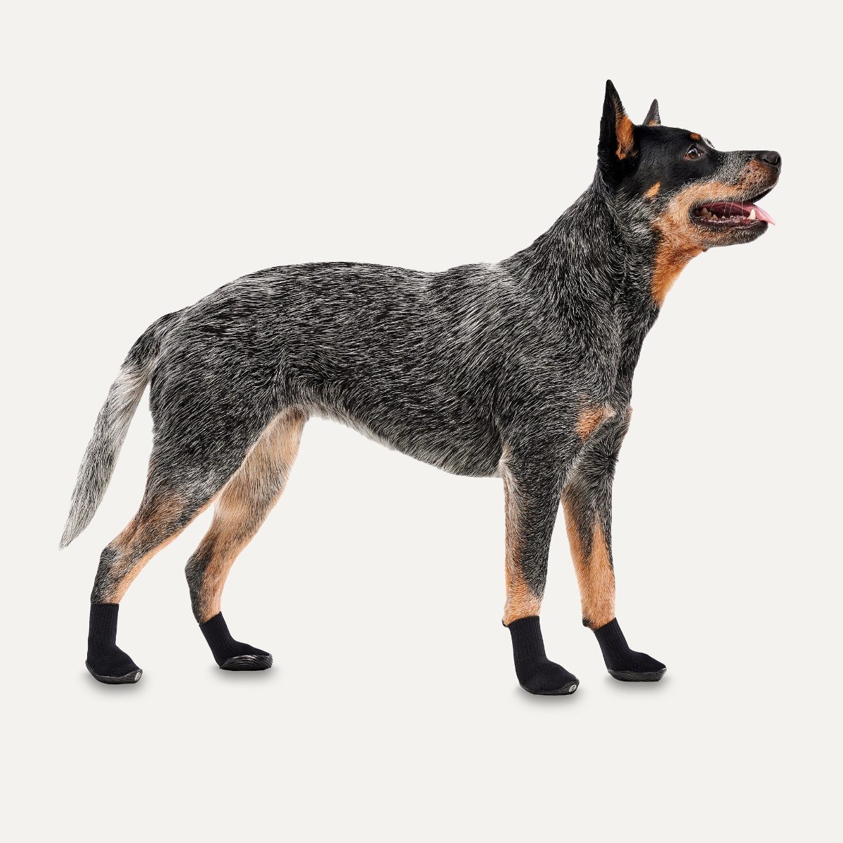 Goo-eez Dog Boots Ultras 2 Per Pack XS Zwart - Afbeelding 2