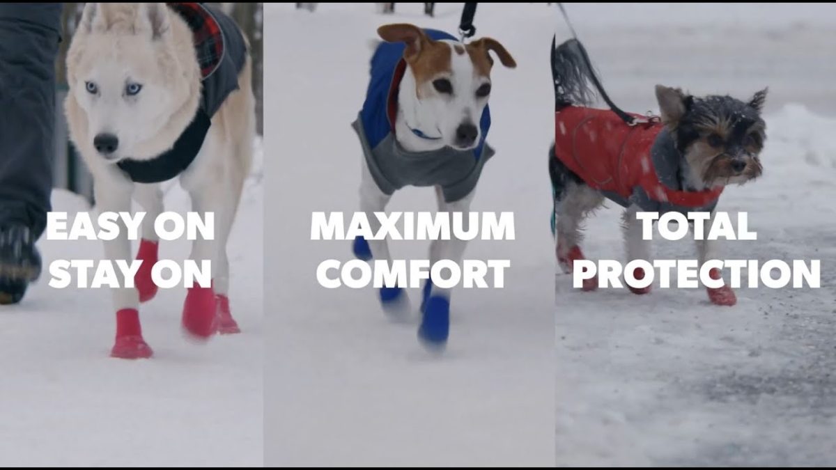 Goo-eez Dog Boots Ultras 2 Per Pack XS Zwart - Afbeelding 5