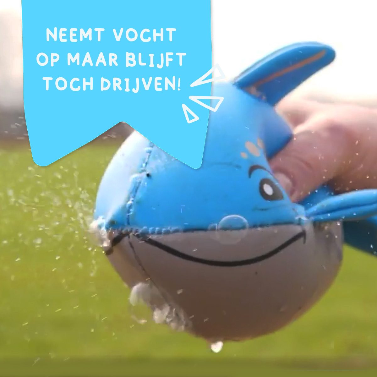 CoolPets Toy Dolphi the Dolphin - Afbeelding 6